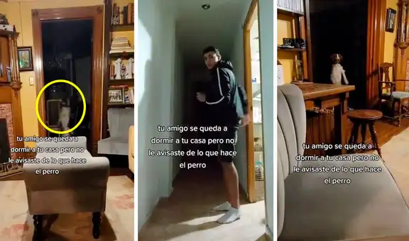 Se queda a dormir en la casa de su amigo y termina aterrado al ver a su perro en 2 patas