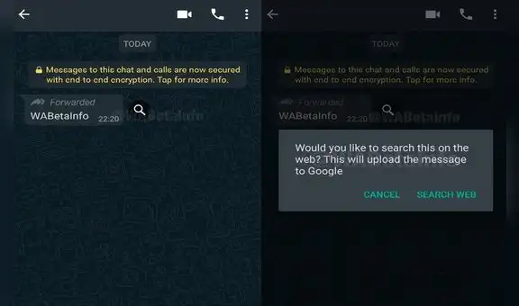 WhatsApp empieza activar el botón para combatir fake news sobre el coronavirus [FOTOS]