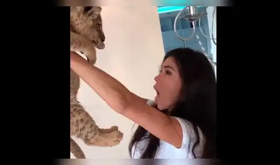 Instagram: modelo intentó recrear escena del 'Rey León', pero no salio como lo esperaba [VIDEO]
