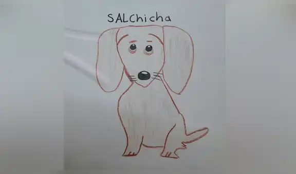 Niño busca a su perrita extraviada con un tierno dibujo al no tener fotos del can [FOTOS]