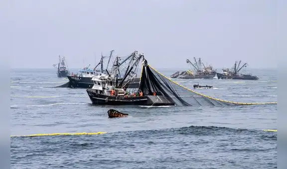 Desembarques pesqueros crecieron 94,1% durante el mes de julio por impulso de la anchoveta