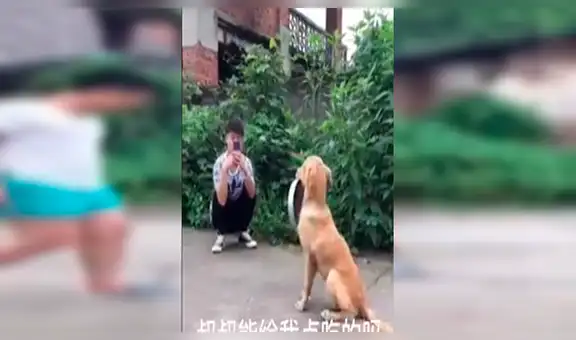 Facebook viral: inesperada persona ofrece ayuda a perro callejero que rogaba por comida [VIDEO] 