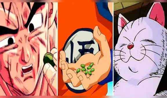 Dragon Ball: el desconocido poder de las semillas del ermitaño que podrían cambiar la historia [VIDEO]