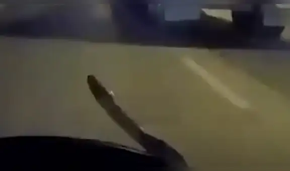 Policía queda aterrado al ver que serpiente emerge de su motocicleta en plena carretera [VIDEO]