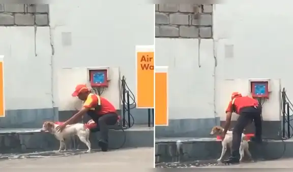Grifero deja su trabajo para bañar a perrito callejero [VIDEO]