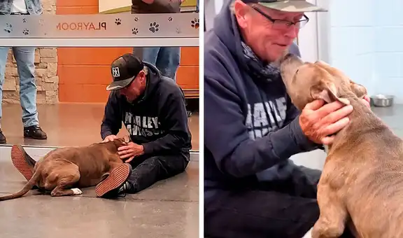 Hombre tiene conmovedor gesto al reencontrarse con su perro que se extravió hace 200 días [VIDEO] 