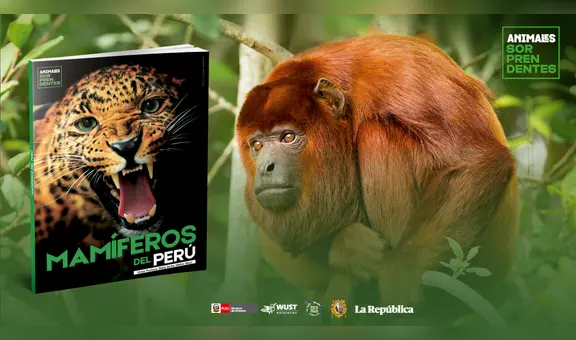 Mamíferos del Perú: una guía para estudiantes y amantes de los animales