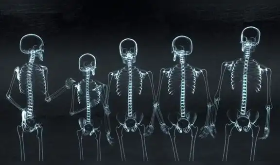 Jo Jung Suk, Yoo Yeon Seok y Jung Kyung Ho juntos en nuevo trailer del drama “Doctor Playbook” [VIDEO]