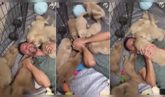 Ingresa a jaula de cachorros sin imaginar la amorosa reacción que tendrían los pequeño perros [VIDEO]