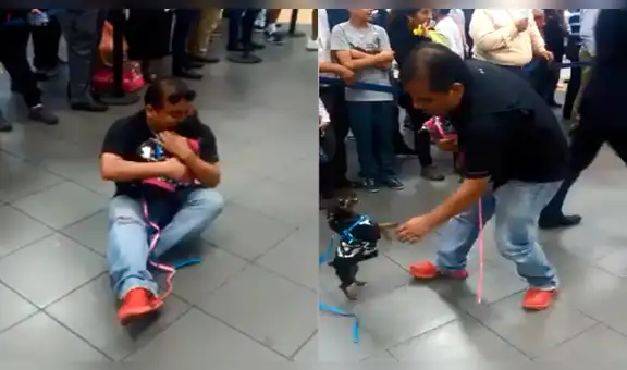Facebook: mascotas de venezolano llega al Perú y el video enternece a miles