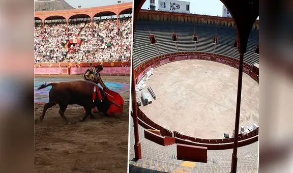 Plaza Acho: mueren 5 toros que iban a participar en corrida taurina en Lima