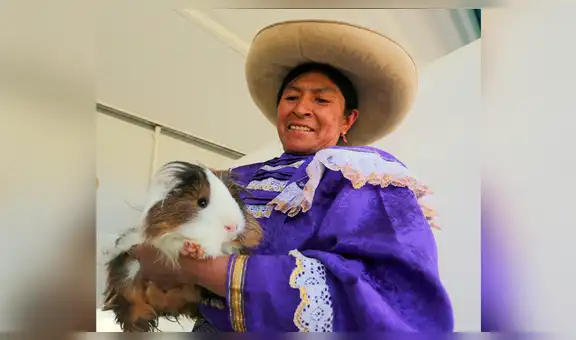 Cajamarca lidera mercado de cuyes en el país con 2 millones de ejemplares