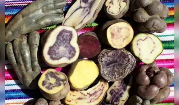 Snacks de papas nativas: Una propuesta para revalidar la producción peruana