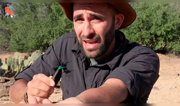 Joven se deja picar por letal avispa caza tarántulas y termina de la peor manera [VIDEO] 