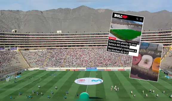 River vs. Flamengo: prensa extranjera se asombró al descubrir que una planta nació en butaca del Monumental