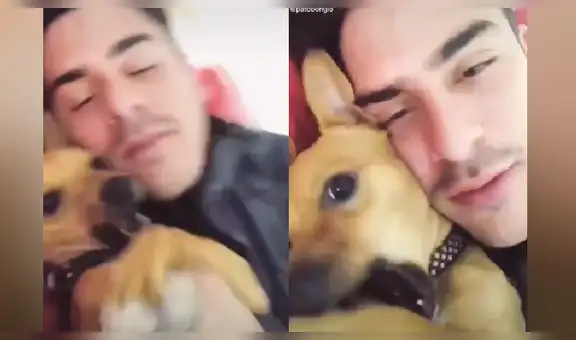Perro escucha que su dueño le dice “foto” y tiene jocosa reacción que cautivó a miles [VIDEO]