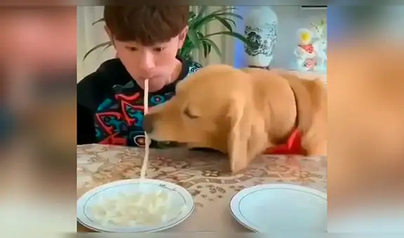 Joven se enfrenta a su perro en un divertido reto con fideos y este lo sorprende con su habilidad [VIDEO] 