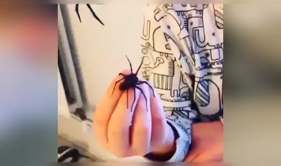 Facebook viral: ola de críticas por niño que manipula descomunal araña ante la vista de su padre [VIDEO]