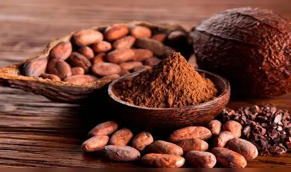 El poder del cacao: siete beneficios que aportan a la salud
