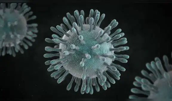 OMS alerta al mundo sobre posible propagación de nuevo coronavirus mortal