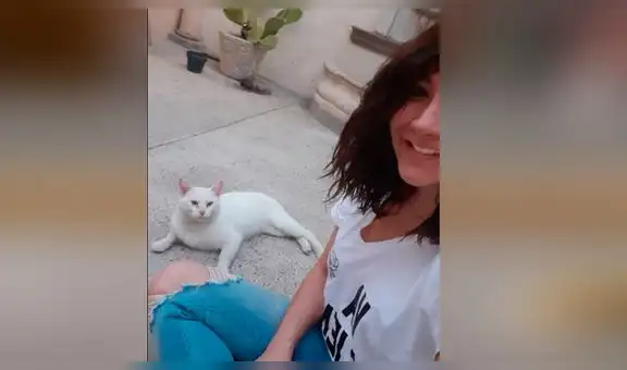 Halla gato callejero afuera de supermercado, le compra comida y acaba adoptándolo [VIDEO]