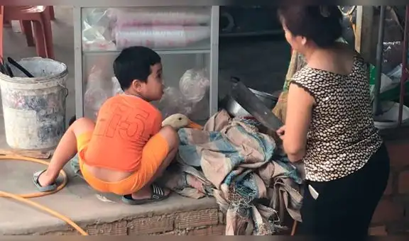 YouTube: señora quiso matar a un pato para cocinarlo y su hijo hizo lo inesperado