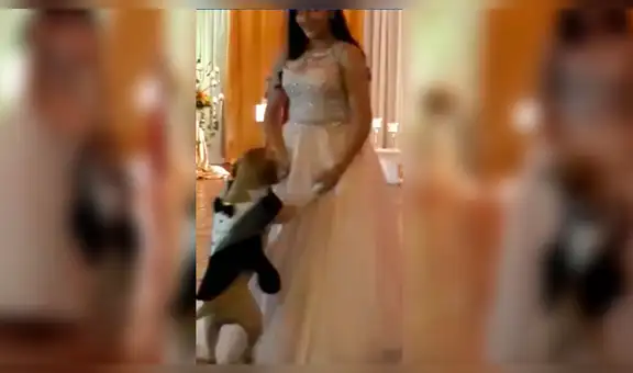 Fiel amigo: quinceañera no consigue chambelán y decide bailar con su perro [VIDEO]
