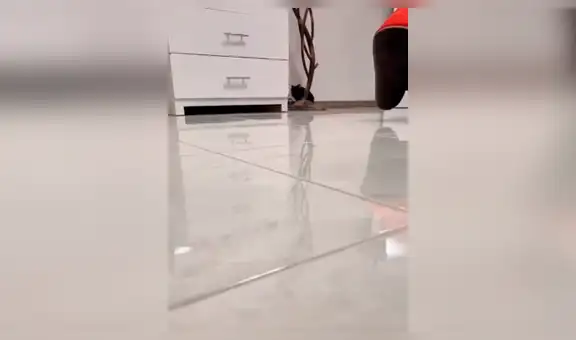 Joven canta “Peluchín” de la Chilindrina para su pequeño perro y este tiene curiosa reacción [VIDEO] 