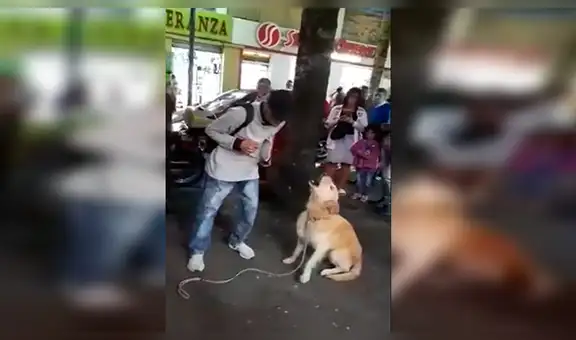 Perro asombra a transeúntes con su habilidad para resolver problemas matemáticos [VIDEO] 