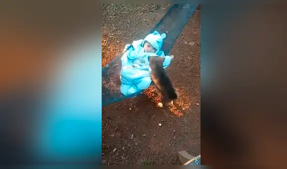 Madre capta emotiva escena en que perro bebé juega con su menor hijo y cautiva a miles [VIDEO]
