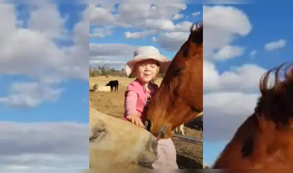 Niña le canta a sus caballos y uno de estos tiene conmovedora reacción [VIDEO]