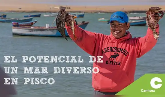 El potencial de un mar diverso en Pisco
