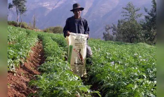 Congreso debatirá hoy ley que amplía por 10 años el régimen laboral agrario 