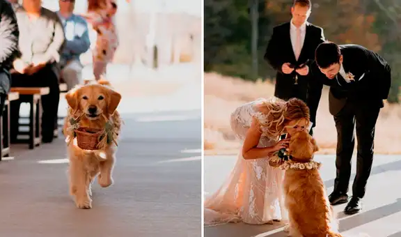 Perrita conmueve al llevarle los anillos a sus dueños durante su boda