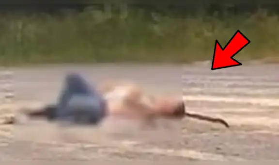 Pareja se duerme en el campo, sin imaginar que venenosa serpiente los acechaba [VIDEO]