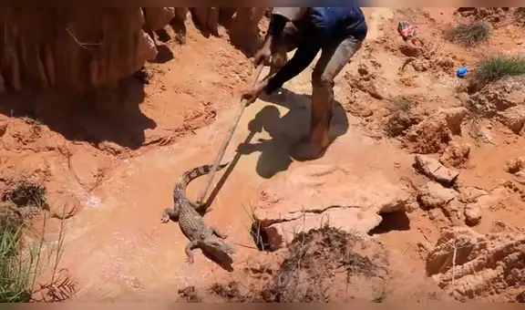 Echa Coca Cola con Mentos en misterioso agujero y letal reptil emerge furioso [VIDEO]
