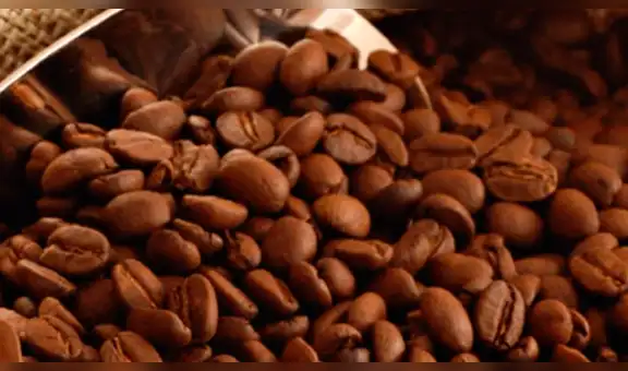 Café del Bosque de Protección Alto Mayo avanza en concurso “II Taza de Excelencia”  