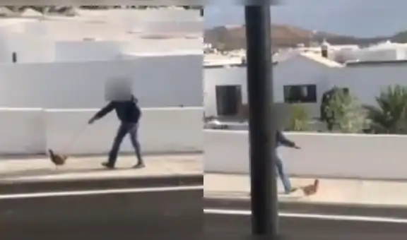 Detienen a hombre por incumplir cuarentena al pasear a su gallina en la calle [VIDEO]