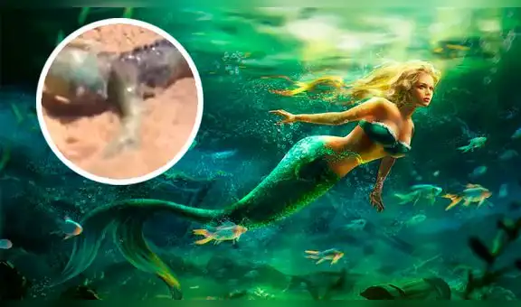 Facebook Viral: Afirman haber encontrado a bebe de sirena y miles de usuarios se aterran ante hecho