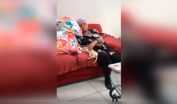 Mujer pide a su madre cuidar de su perro y los encuentra en una tierna escena [VIDEO] 