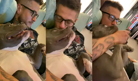 Perrita hace lloriqueos para recibir besos y llamar la atención de su dueño