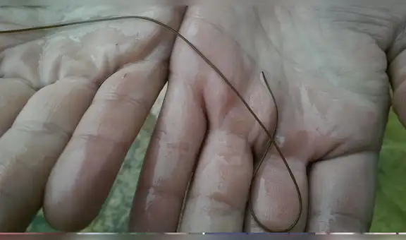 Ubica misteriosa criatura en su granja sin imaginar su verdadera identidad [VIDEO]