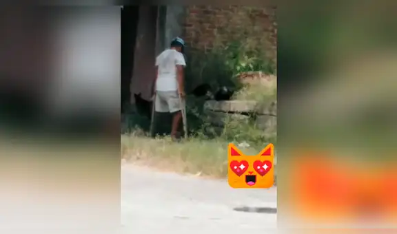 Hombre es captado ayudando a unos gatos abandonados en terreno deshabitado [VIDEO] 