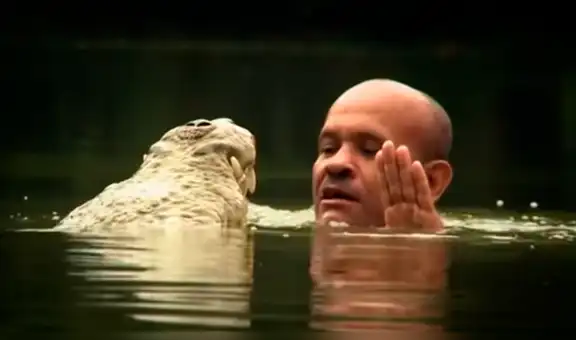 Hombre intenta nadar junto a cocodrilo, sin imaginar la inesperada reacción del depredador [VIDEO]