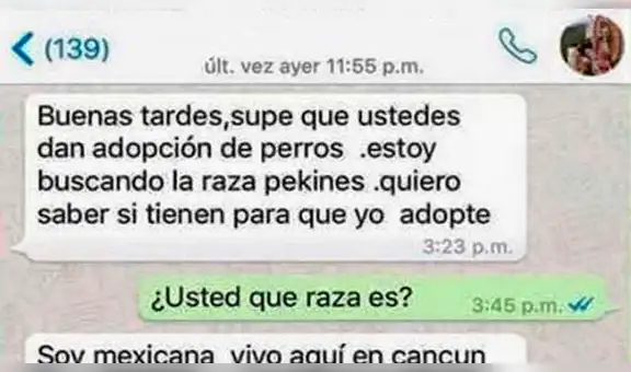 WhatsApp: Quiso adoptar perro de "raza pura" y le dieron una gran lección