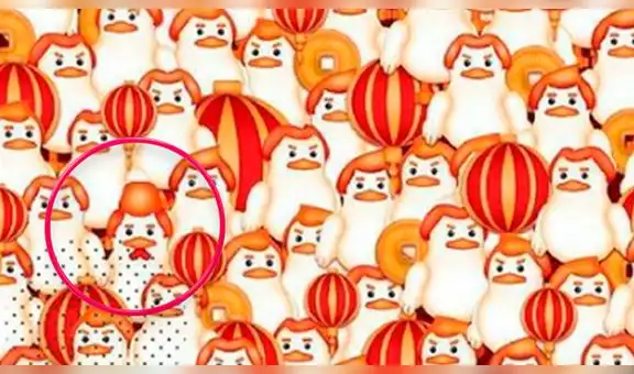 ¿Encuentras al gallo oculto entre las gallinas? El complicado reto visual que pocos resolvieron [FOTOS]