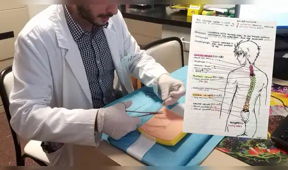 En Facebook, estudiante de medicina, un fanático de anime, arrasa con su tarea sobre anatomía