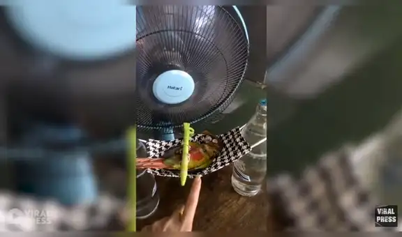 Crea una pequeña hamaca usando una mascarilla para que su loro bebé pueda dormir [VIDEO]