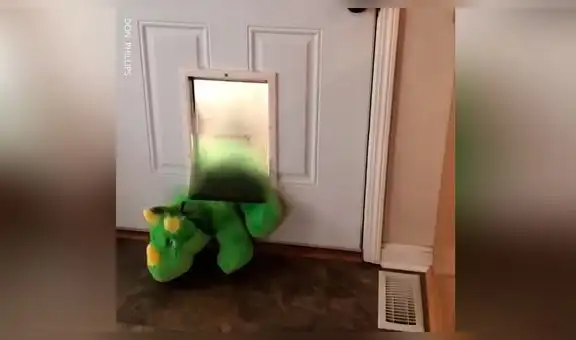 Perro celoso confunde peluche con nueva mascota y hace de todo por alejarlo de su dueña [VIDEO]