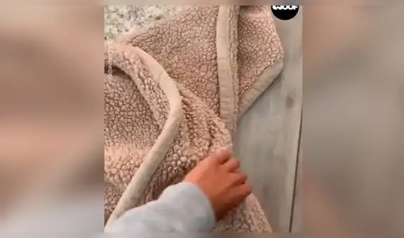 Deja a cachorro solo en casa y al volver lo capta en tierna escena [VIDEO]